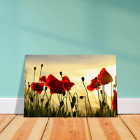 d3487fe8-ac9d-494c-8338-ad0fd6a525ff