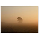 d4e1cc2c-43f4-42ab-83f7-305c14f4bf48