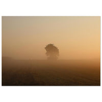 d4e1cc2c-43f4-42ab-83f7-305c14f4bf48