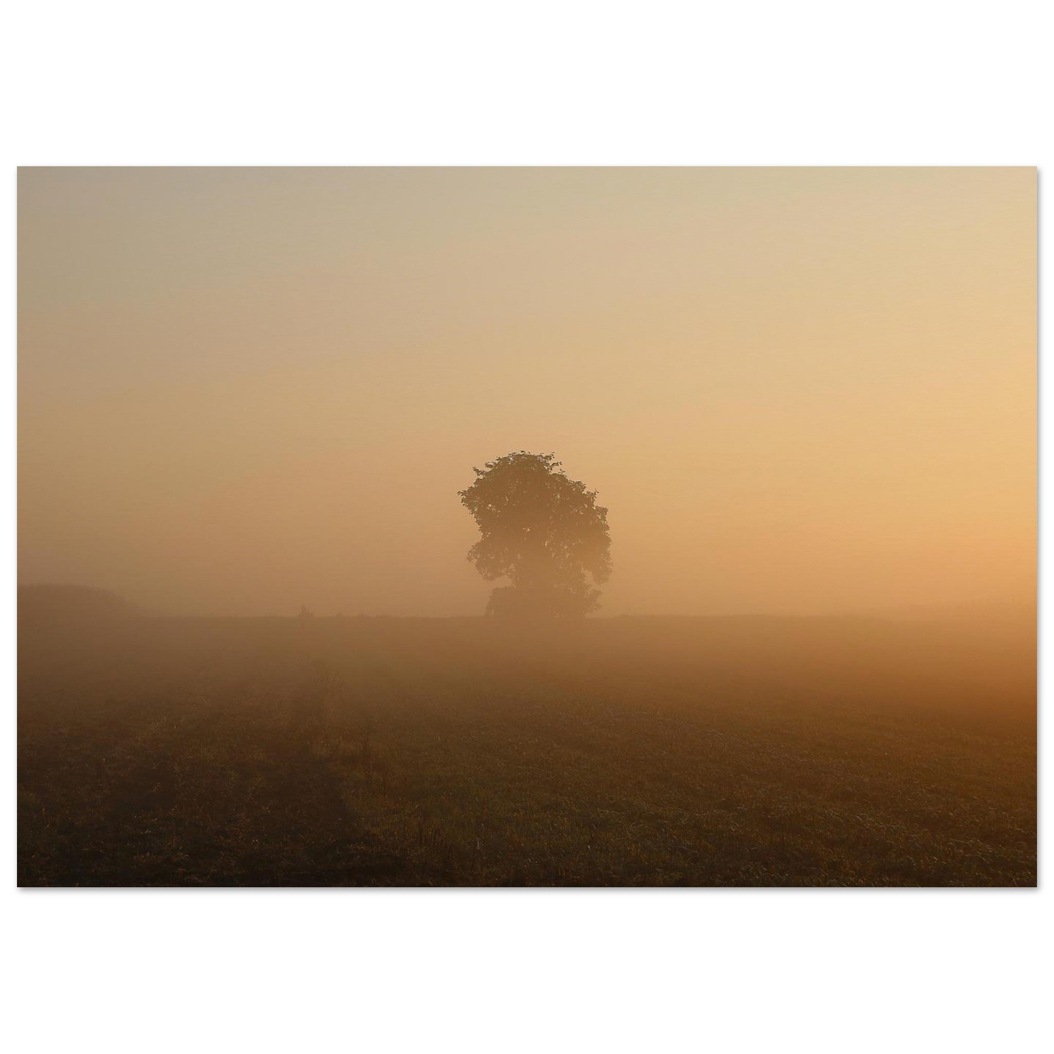 Golden Mist Tree — Nature Fine Art Poster | BETVA Wall Art