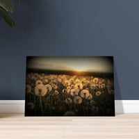 d553c6ee-6586-44a2-93b9-6e737cd3a350