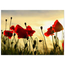 d600e264-0a66-4289-a5f2-f6d26c04e401