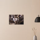 d6fb418f-8421-42cd-99f6-f9349a5e215d