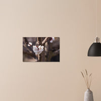 d6fb418f-8421-42cd-99f6-f9349a5e215d