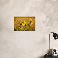 d8a6e31b-5b74-44c0-8f90-d188bf3c27f8