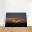 d8e979fb-aa4a-4927-b6cb-4a6f8966f67b