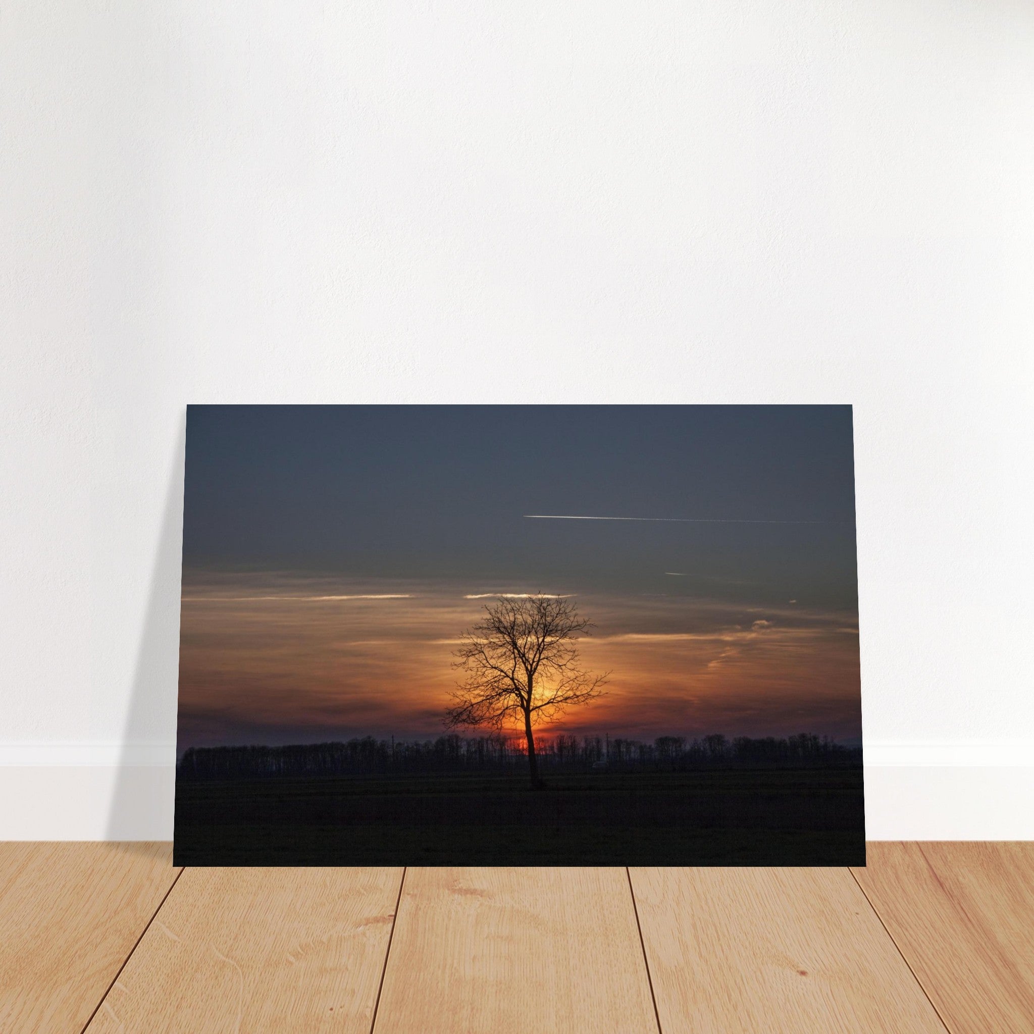 d8e979fb-aa4a-4927-b6cb-4a6f8966f67b