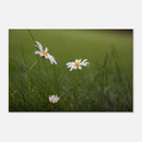 db764b1d-7295-41db-9030-da54c70f0d02