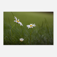 db764b1d-7295-41db-9030-da54c70f0d02