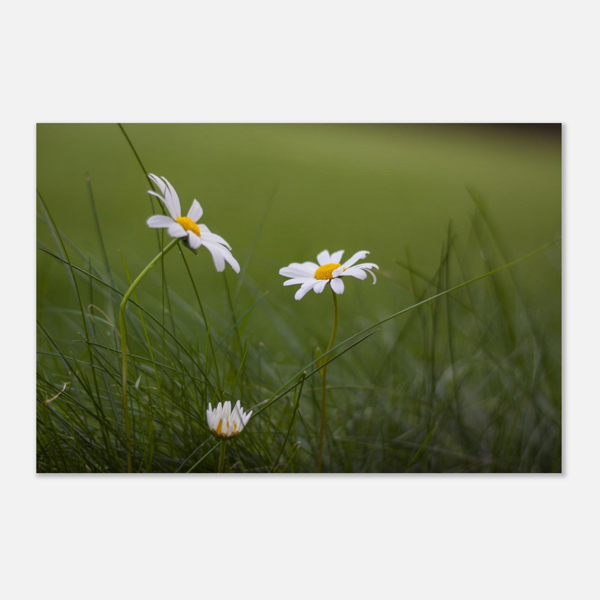 db764b1d-7295-41db-9030-da54c70f0d02