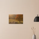 dba6752a-6599-4e55-a03d-d1c2e25de13f