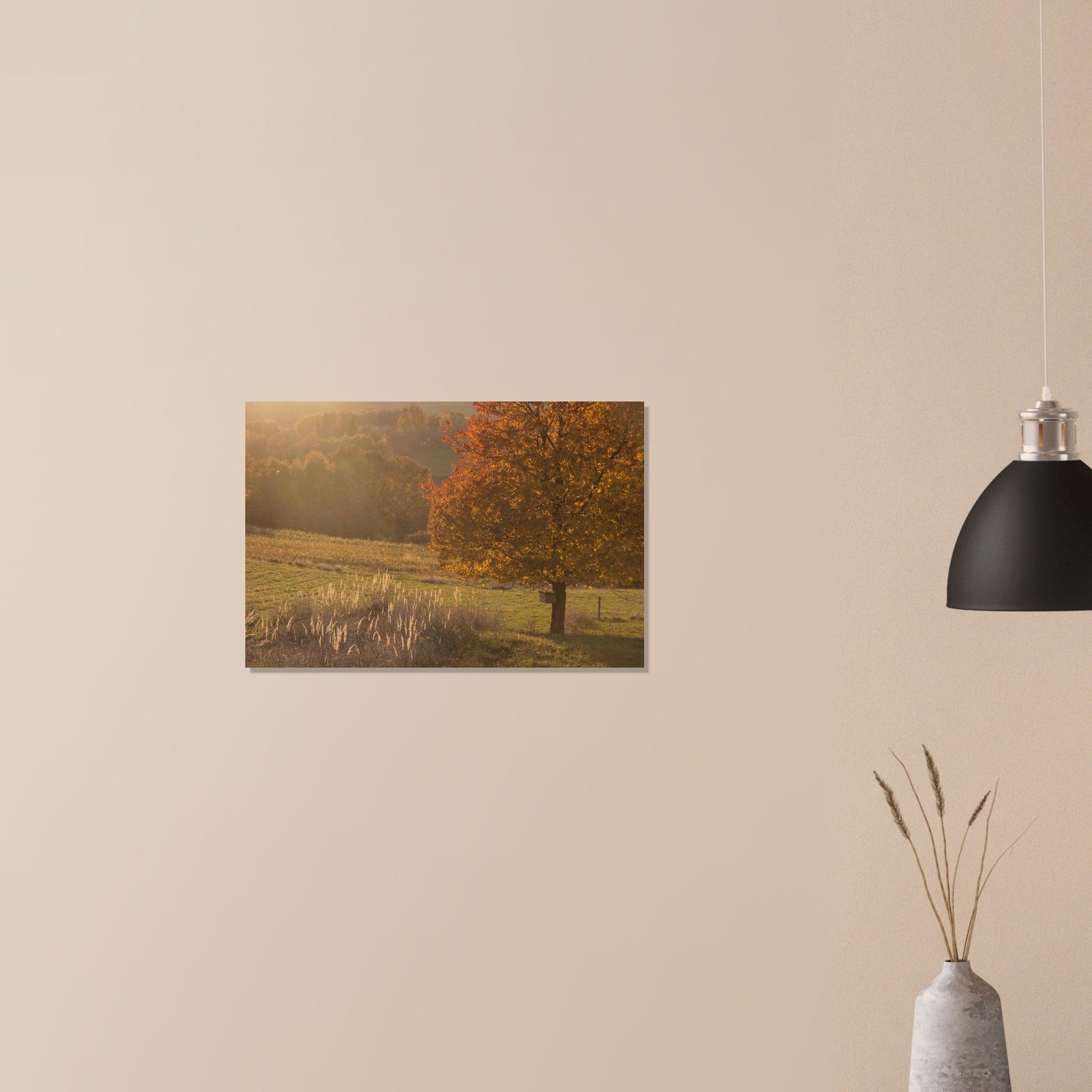 dba6752a-6599-4e55-a03d-d1c2e25de13f