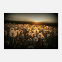 de5f23c2-09e9-48de-afc7-8d93109b4fae