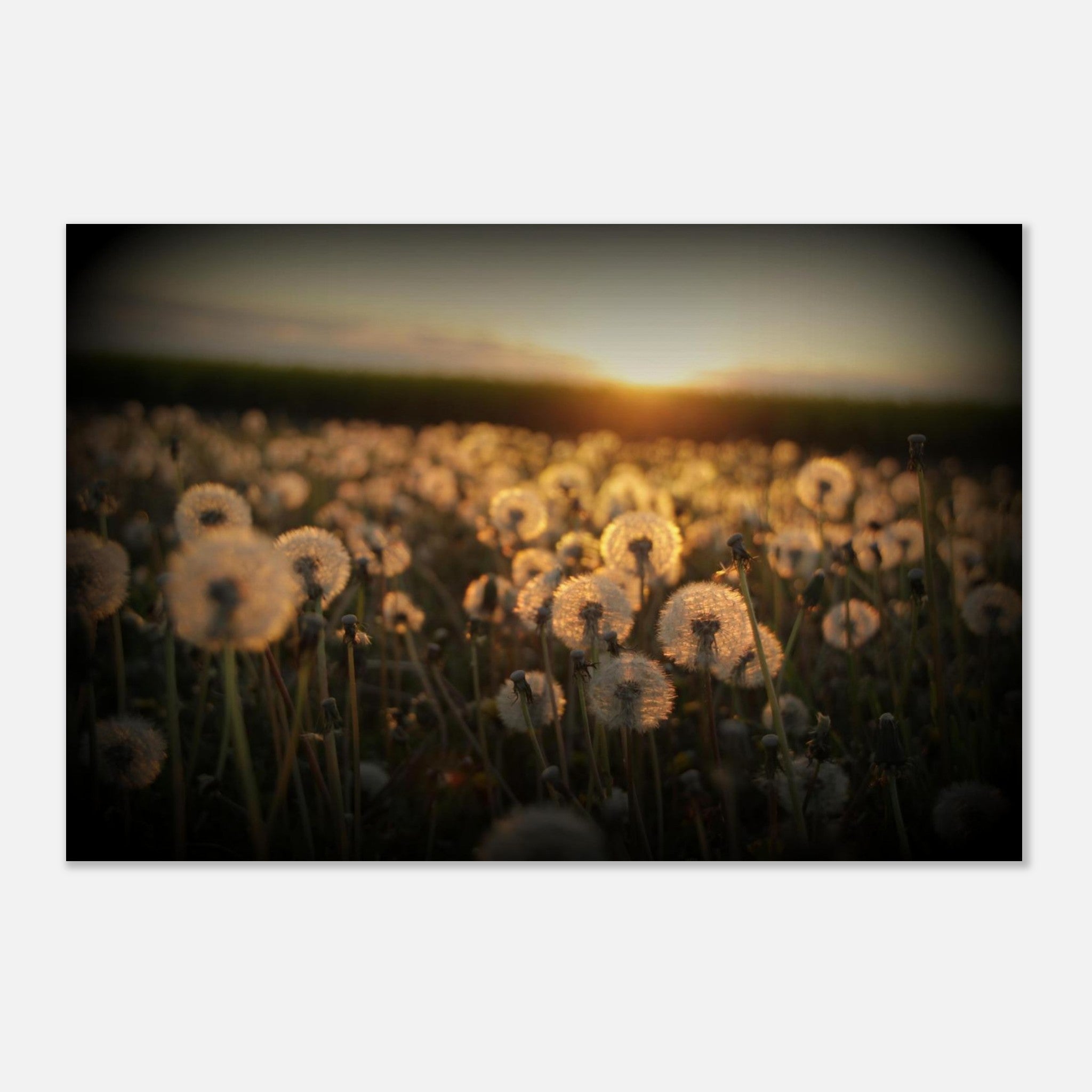 de5f23c2-09e9-48de-afc7-8d93109b4fae