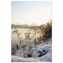 Morning mist rising from a calm lake with snow-covered reeds and golden backlight on a winter shore in Prekmurje — BETVA fine art nature poster