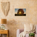 df2e9b01-f6f8-4b49-a1a2-442e6c96c628