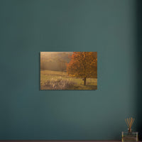 e10be1d8-c106-4b2a-9ecd-97b432a53469