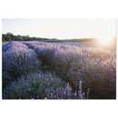 e34c4361-2e1f-4a05-8145-1d8ffe0de718