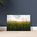 e51748f2-05a8-4766-bbda-5f3e682567bc