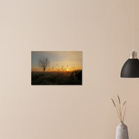 e5faf740-6032-4a2e-afaf-4e15e946715e