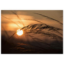 e6258c88-8b76-42ed-a8b7-82367cd10812