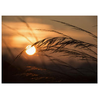 e6258c88-8b76-42ed-a8b7-82367cd10812