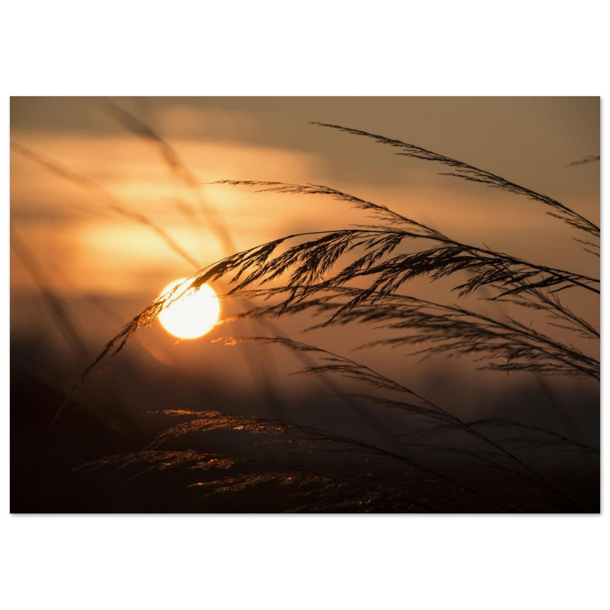 e6258c88-8b76-42ed-a8b7-82367cd10812