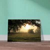 e62a6529-69fe-456d-b332-8285a75f0af2