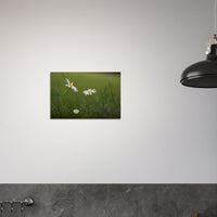 e70c822f-b453-4a39-8a99-f973b7f02faf