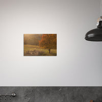 e78dcd55-8ba8-44e7-aa40-930688bd8df6