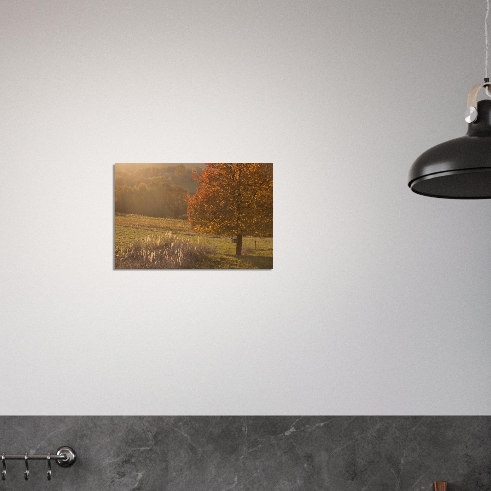 e78dcd55-8ba8-44e7-aa40-930688bd8df6