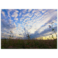 e7aaffdb-3d90-405b-b71f-7cf1a5eea032