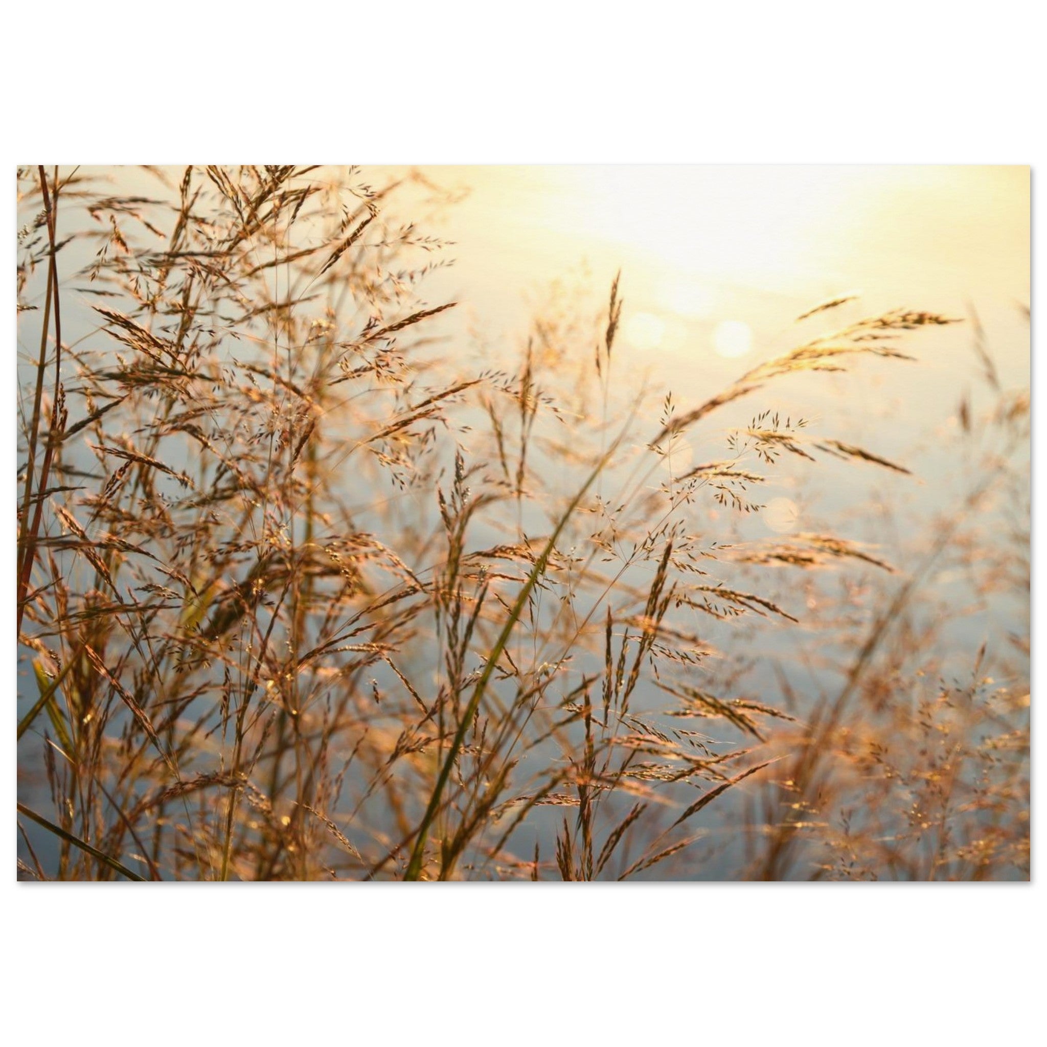 e8281d7a-1d8e-4ac6-846d-5e677f50f3e4