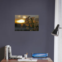 e8e94fbe-497d-44f3-85fa-5182d43f9e3d