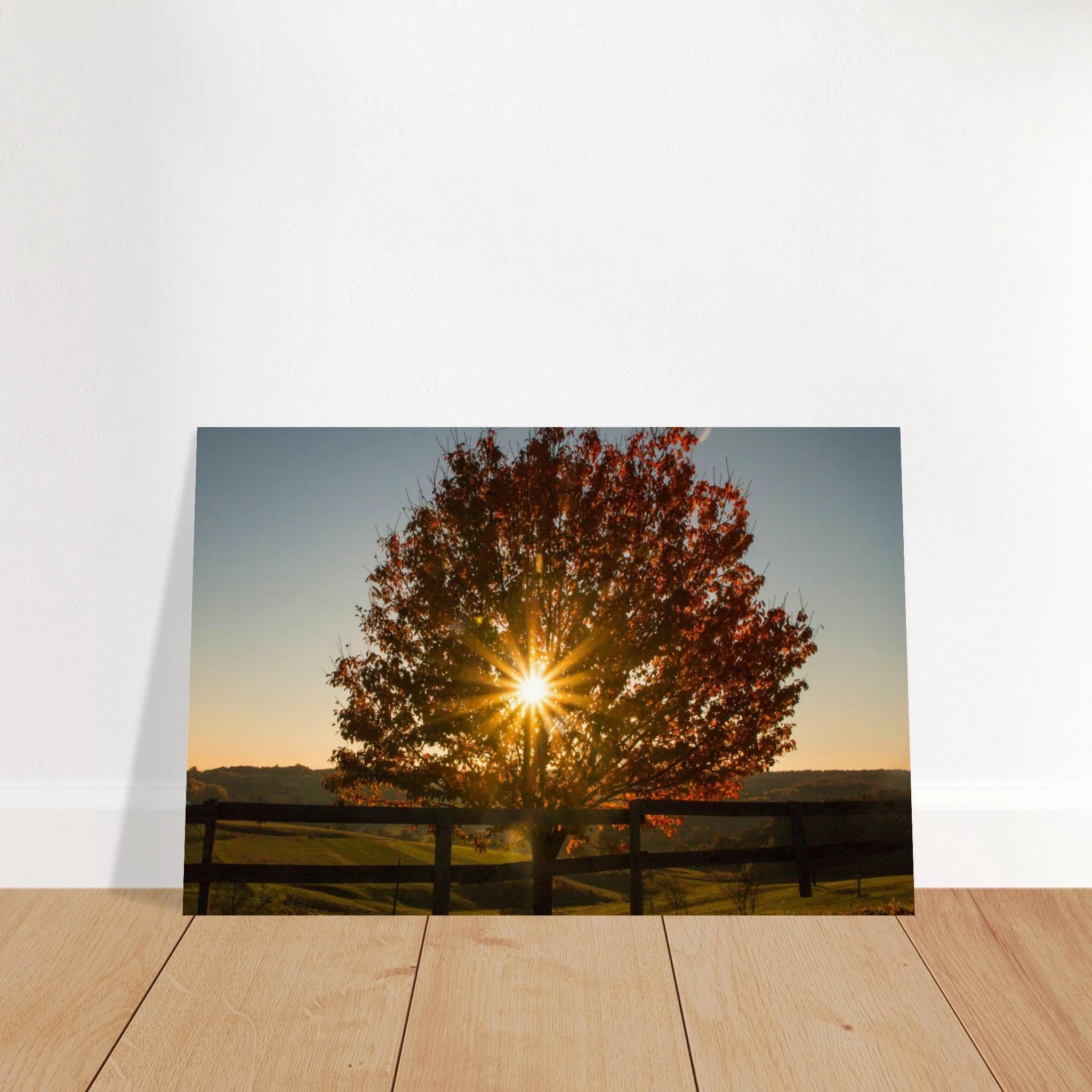 e97b5cb5-8a3f-422c-ad15-7bbc993b4f30