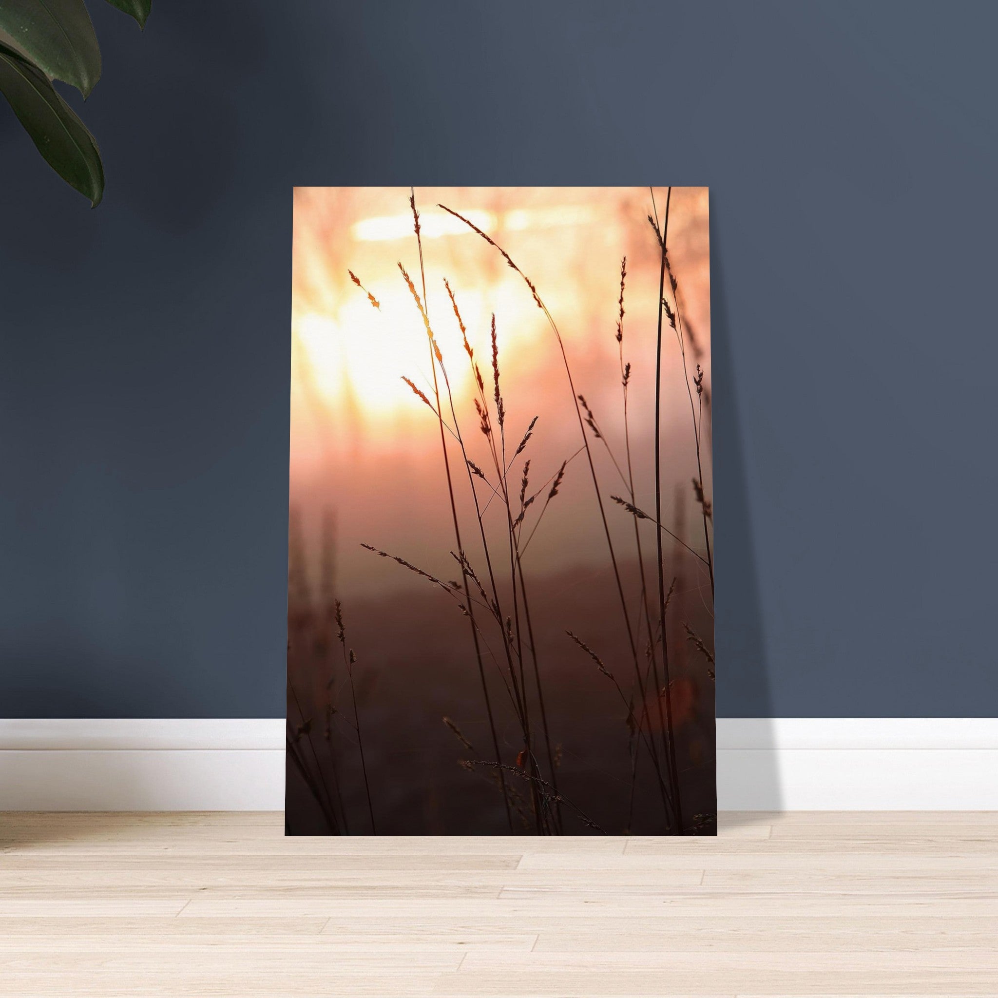 Golden grass blades glowing like soft fire in warm sunset light in Prekmurje, Slovenia — BETVA fine art nature poster