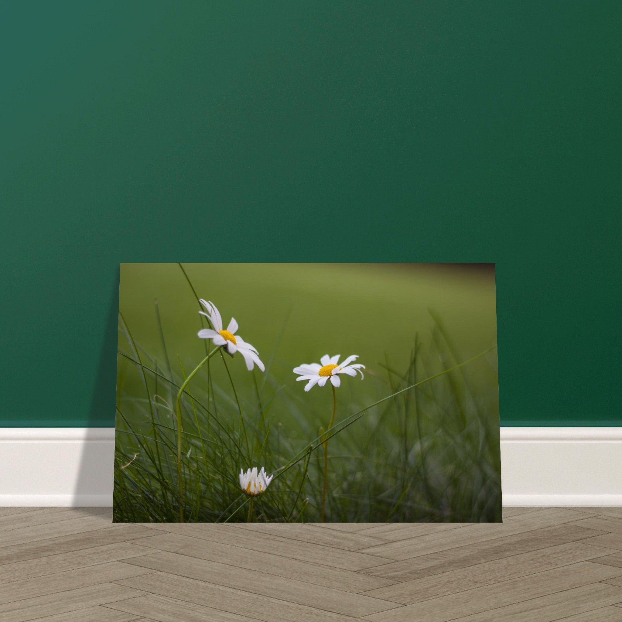 ec4cea44-31a7-4a3b-8214-98009bb1088c