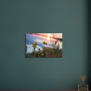 ecc9e129-0ec1-45d2-b8b7-7d1852410aa8