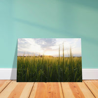 ed25873a-e8f0-4fd8-a1b2-f1d85dadbe6c