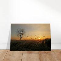 ee0e031f-53bd-413b-a910-e2a9290dba51