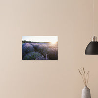 ef4088ba-a5f6-40cd-b88c-9b6fb48d4d32