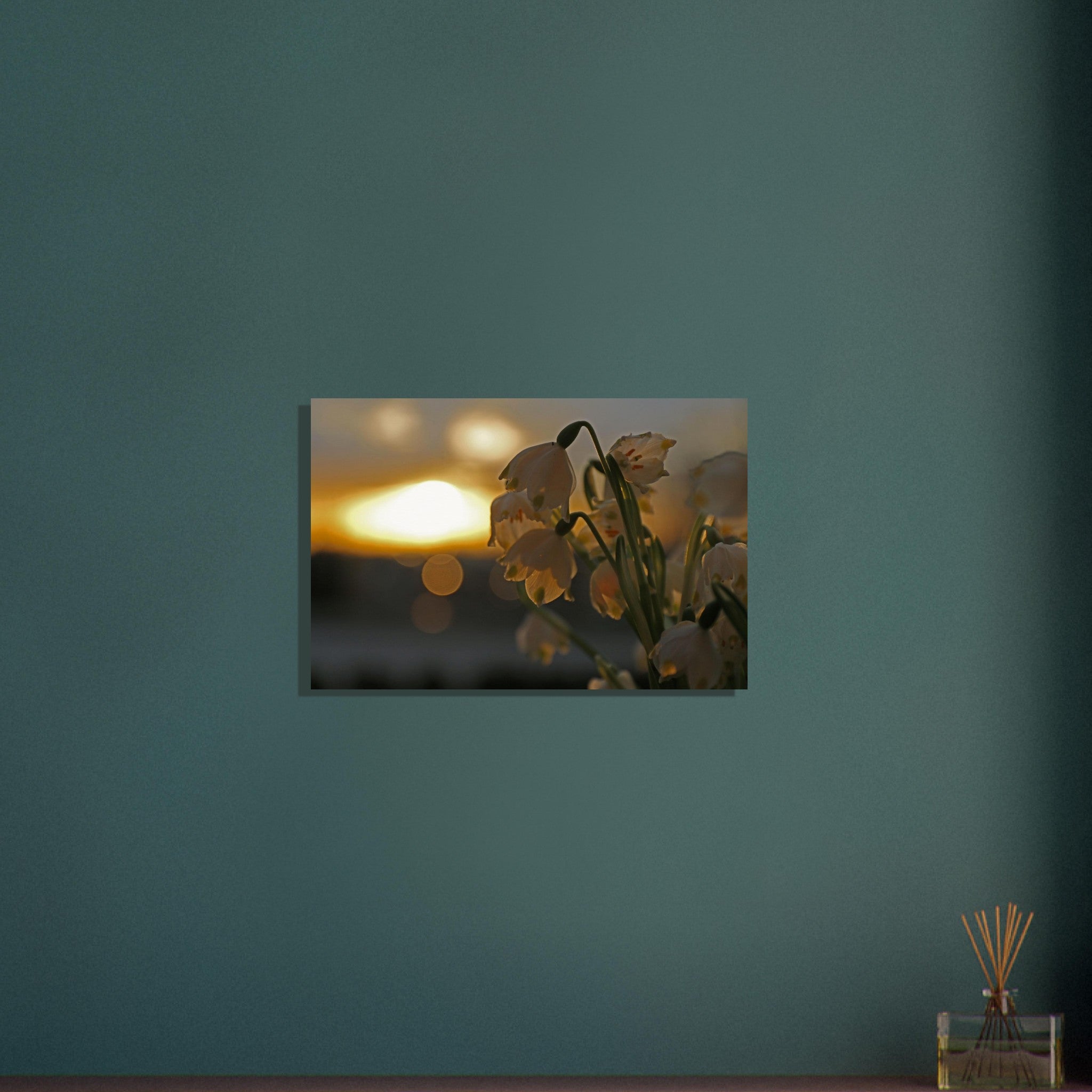 ef835d2e-bd1b-4b72-b292-7622ca6a0106