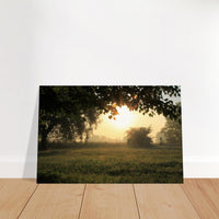 f1157841-32f5-4f16-8bc1-e1b9246e5dbf