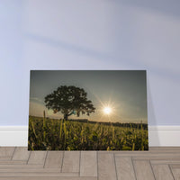 f204348c-ece8-4700-ab77-88757a3cb91e