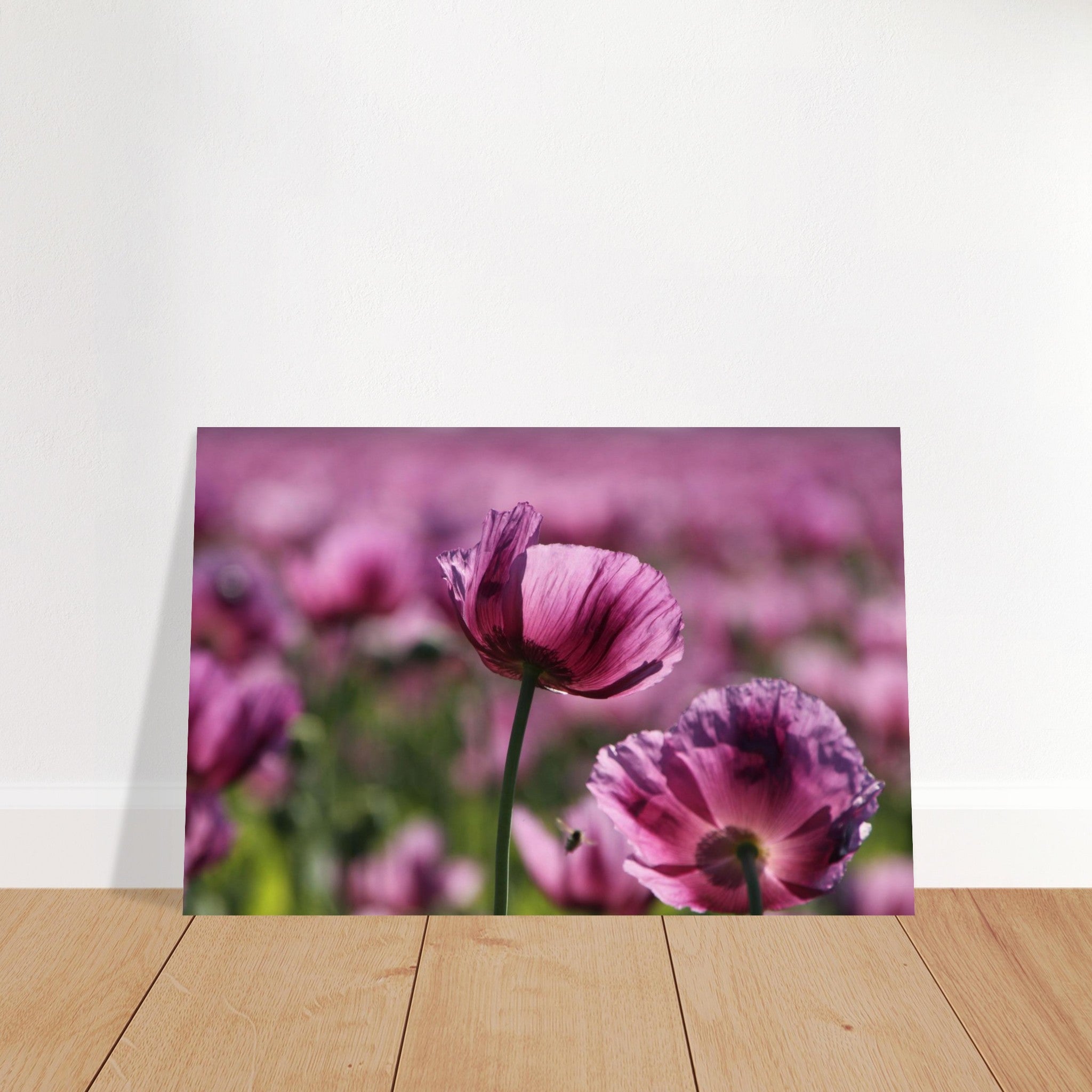 f2727c76-fbd2-4674-8f79-9fdf80fa1ebf