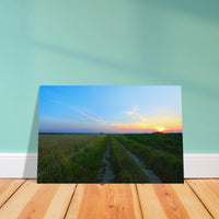 f296e29a-3ca5-4a4c-99dc-1245482c52b7