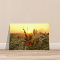 f33caed0-5526-4b41-89f1-b8bd40d368fc