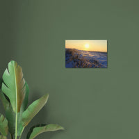 Frosted grass blades glowing in low golden sunlight during a cold morning in Prekmurje, Slovenia — BETVA fine art nature poster