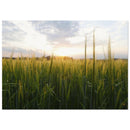 f5a53552-b99e-4583-91ac-868edb52378d