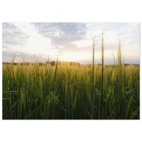 f5a53552-b99e-4583-91ac-868edb52378d